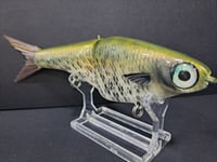 Image 7 of Biggs Custom Baits- BI colorway #21