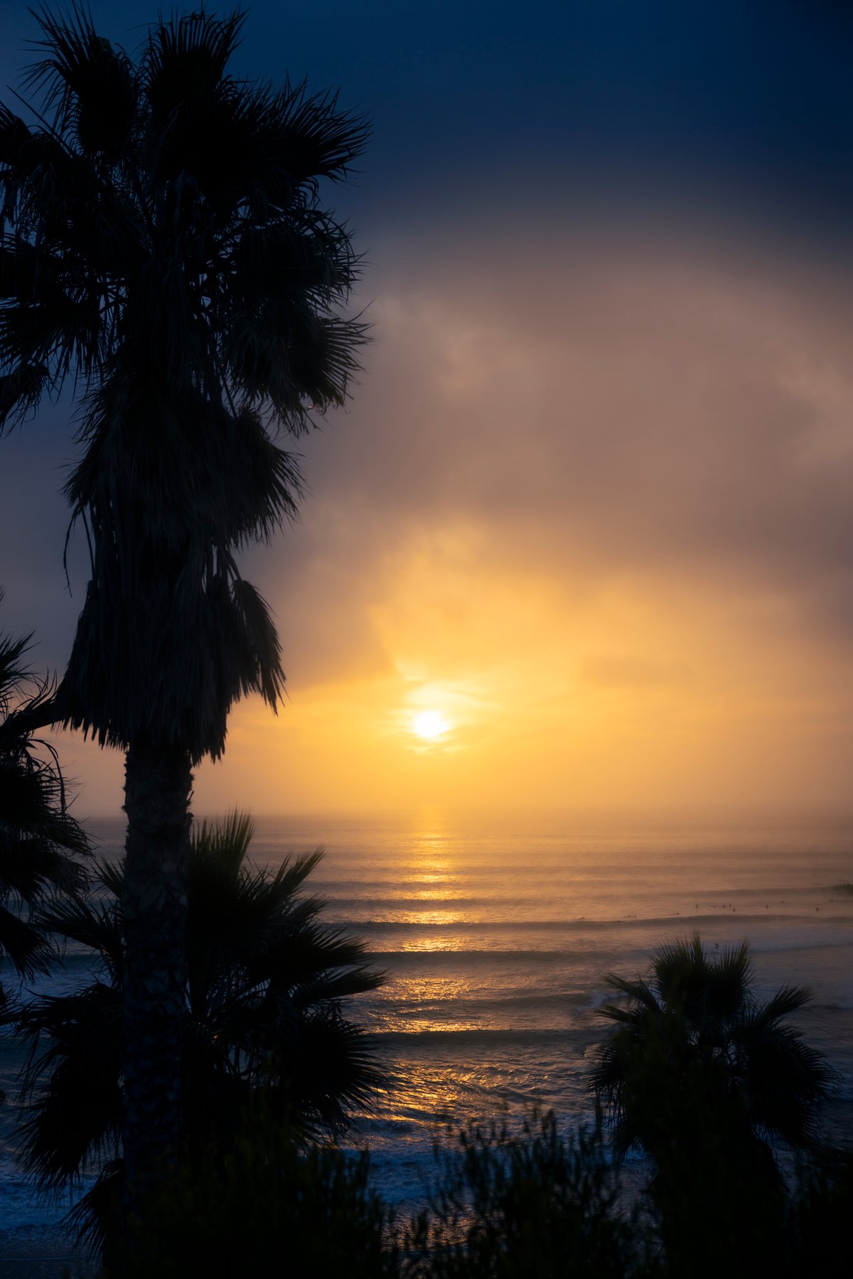 Image of SWAMI'S SUN