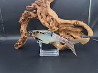 Image 1 of Biggs Custom Baits- Minnow colorway #29