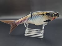 Image 3 of Biggs Custom Baits- Minnow colorway #29