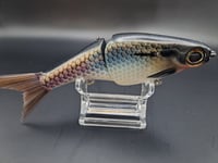 Image 5 of Biggs Custom Baits- Minnow colorway #29