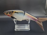 Image 6 of Biggs Custom Baits- Minnow colorway #29