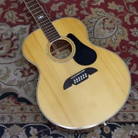 Image 1 of Alvarez AJ417-12 Jumbo 12 String 