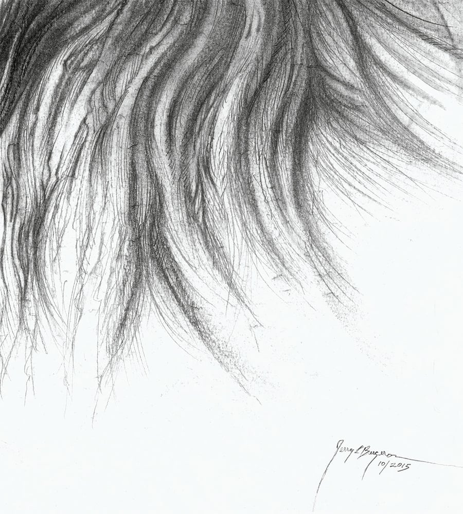 Image of "Majestic King" Charcoal Lion - Prints