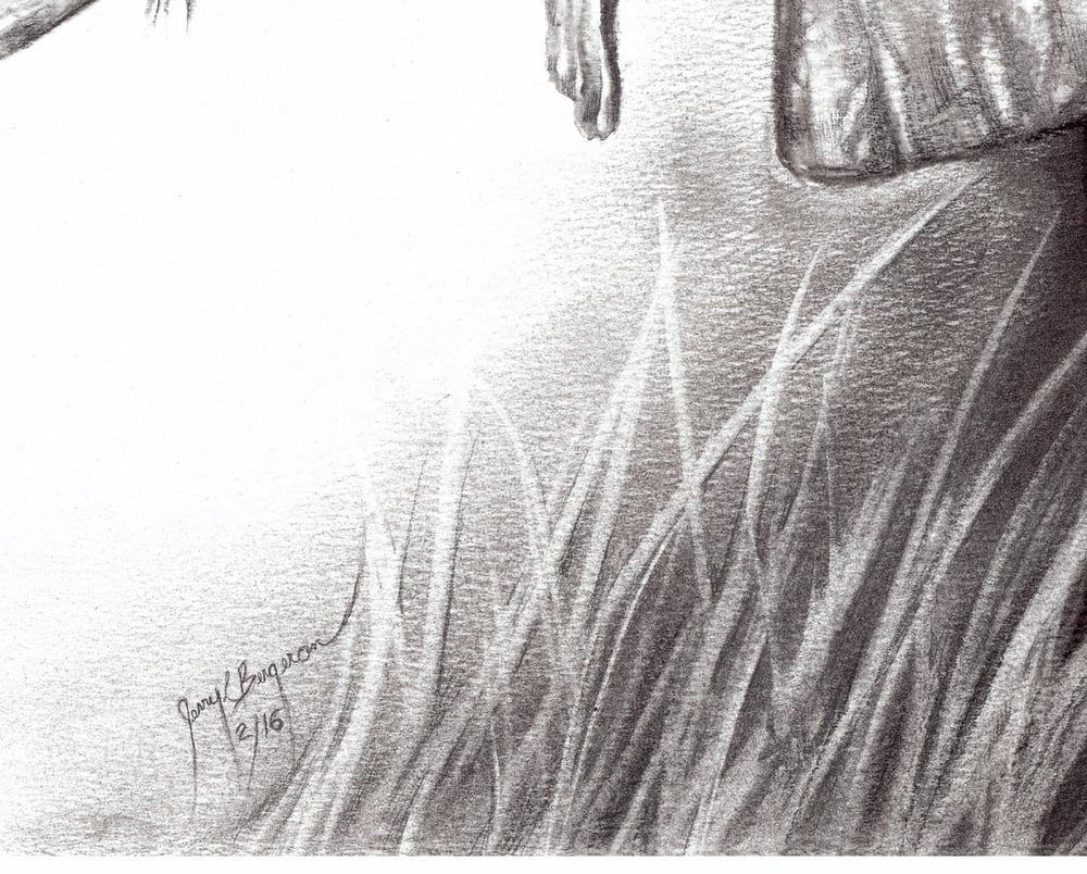 Image of Elephant in Charcoal - Prints