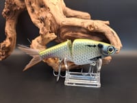 Image 1 of Biggs Custom Baits- Minnow colorway #30
