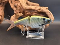 Image 5 of Biggs Custom Baits- Minnow colorway #30