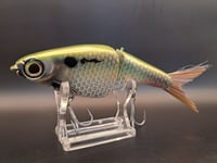 Image 2 of Biggs Custom Baits- Minnow colorway #30