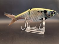 Image 3 of Biggs Custom Baits- Minnow colorway #30