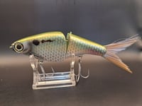 Image 4 of Biggs Custom Baits- Minnow colorway #30