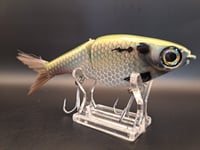 Image 6 of Biggs Custom Baits- Minnow colorway #30