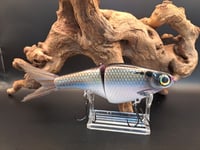 Image 1 of Biggs Custom Baits- B1 colorway #33