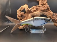 Image 1 of Biggs Custom Baits- Denali colorway #35