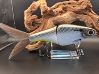 Image 6 of Biggs Custom Baits- Denali colorway #35