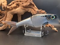 Image 7 of Biggs Custom Baits- Denali colorway #36