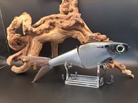 Image 5 of Biggs Custom Baits- Denali colorway #36