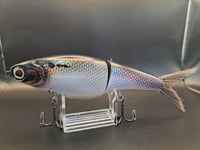 Image 2 of Biggs Custom Baits- Cetus colorway #38
