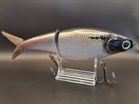 Image 4 of Biggs Custom Baits- Cetus colorway #38