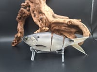 Image 7 of One Eleven Bait Co. Swimmer