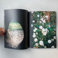 Image 3 of An Daras / Portals by Rosie Kliskey