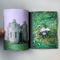 Image 4 of An Daras / Portals by Rosie Kliskey
