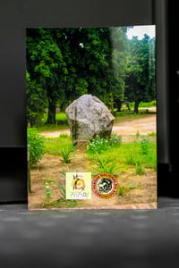 Image 5 of Diario de Gorongosa