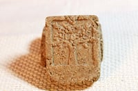 Image 8 of Ayurvedic Shampoo Bar "Orange & Shikakai"