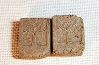 Image 9 of Ayurvedic Shampoo Bar "Orange & Shikakai"