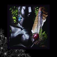 Image 2 of ☽ Crataegus Marita ☾