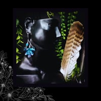 Image 4 of ☽ Crataegus Marita ☾