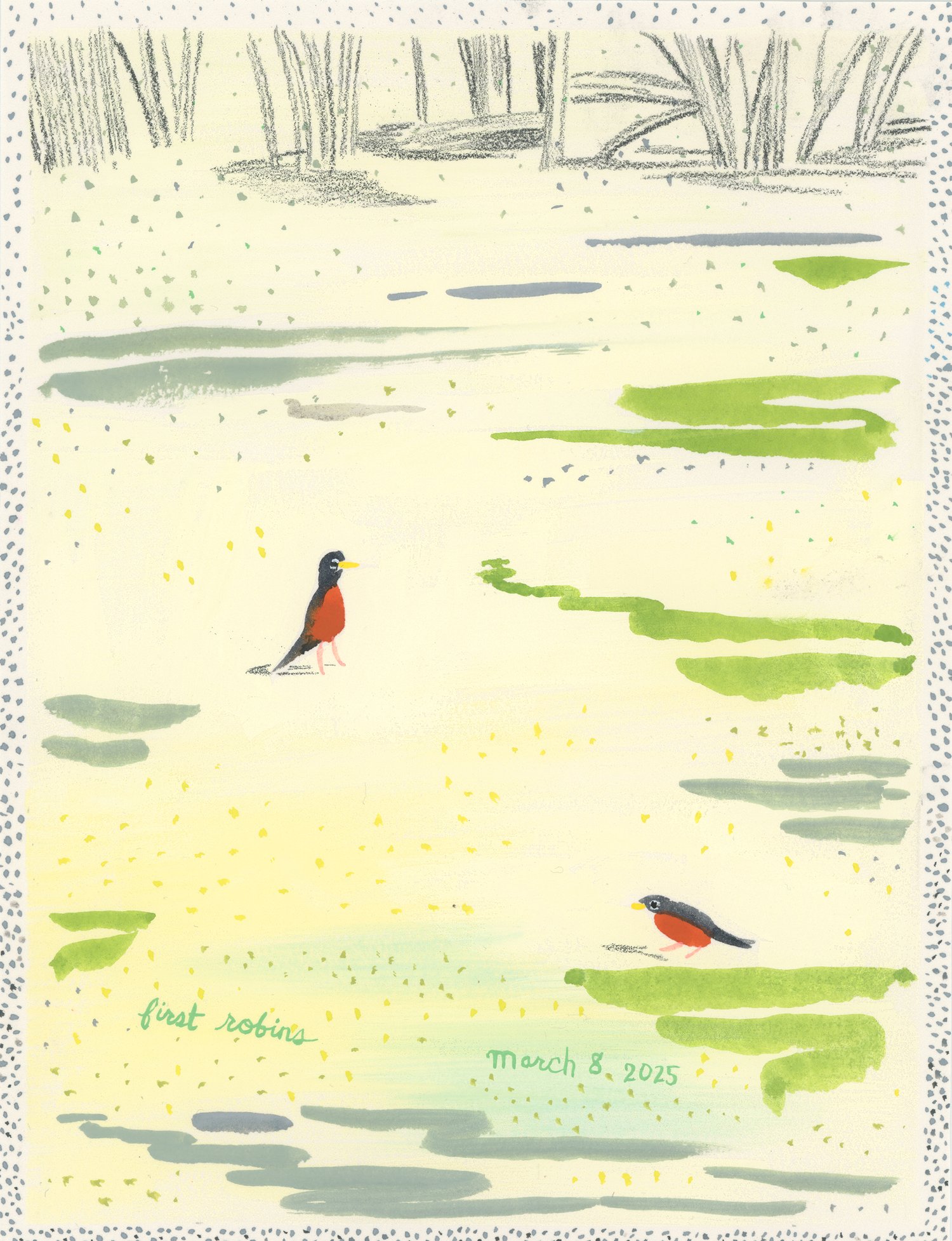 First robins, March 8, 2025