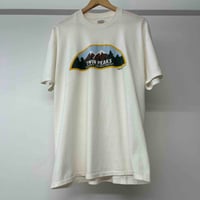 Image 1 of Twin Peaks 1990 XL