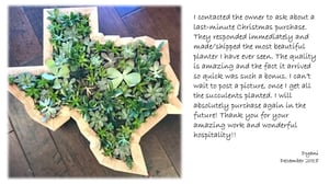 Image of Vertical Succulent Planter Box Large USA States