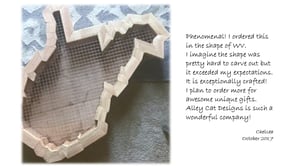 Image of Vertical Succulent Planter Box Large USA States