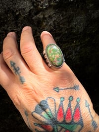 Image 5 of WL&A Handmade Heavy Ingot High Grade Montezuma Royston Ring - Size 8.5