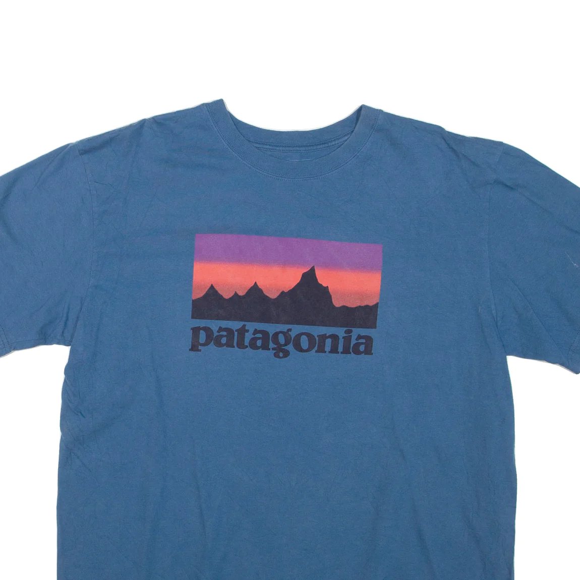 Vintage Patagonia Graphic Logo Tee Shirt - Blue | WAY OUT CACHE