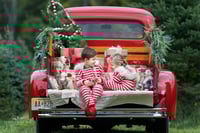 Image 2 of Oct 11th/19th - 2025 Family Tree Farm Minis