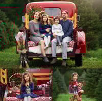 Image 3 of Oct 11th/19th - 2025 Family Tree Farm Minis