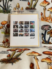 .siraP - SKATEBOARDING VIDEO DVD