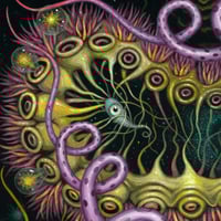 Image 7 of An Original Painting • CHROMATOPHORIC PATTERNS