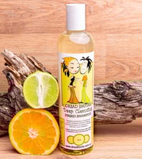 Deep Cleansing Dreadlock Shampoo with Grapefruit & Lime - Dread Empire