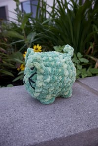Image 2 of Pocket Paws Kittens 