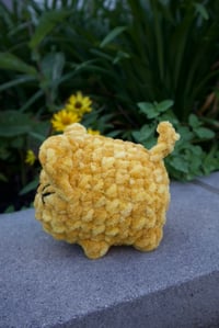 Image 4 of Pocket Paws Kittens 