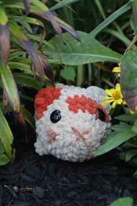 Image 1 of Jeffry the Hamster 