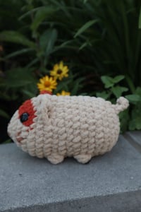 Image 2 of Jeffry the Hamster 