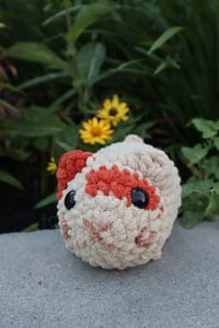 Image 3 of Jeffry the Hamster 