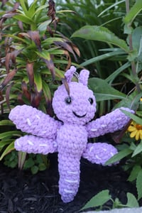Image 2 of Mushy the Dragonfly