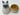 At52 Set of stacking cats - 3 Siamese cats and 1 mouse 