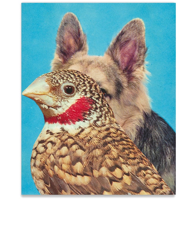 Image of 【Signed】'COMMON SENSE IS A HUNGRY BITCH' - art print