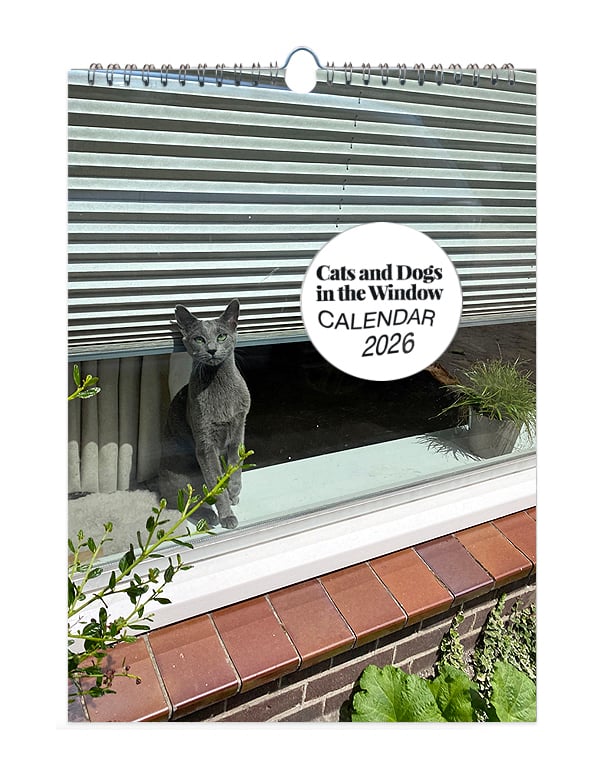 Image of 'Cats and Dogs in the Window' • 2026 CALENDAR